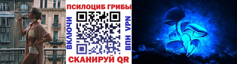 Псилоцибиновые грибы мицелий  Слюдянка 
